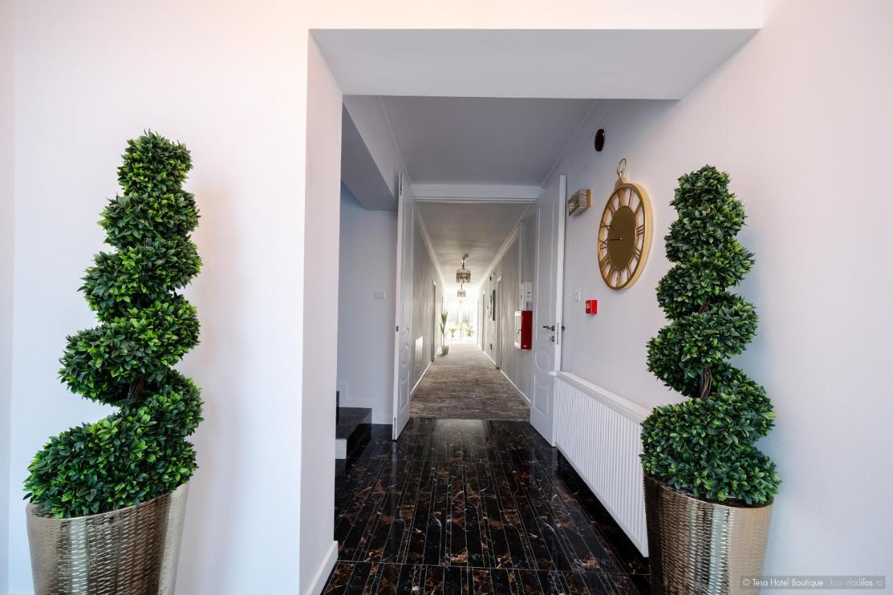 Tesa Boutique Hotel 티르구 네암트 외부 사진