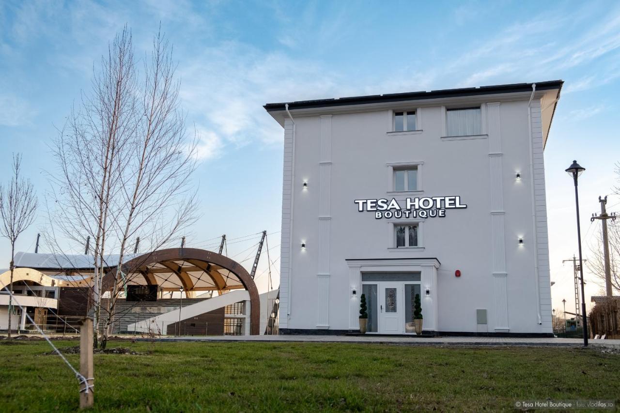 Tesa Boutique Hotel 티르구 네암트 외부 사진
