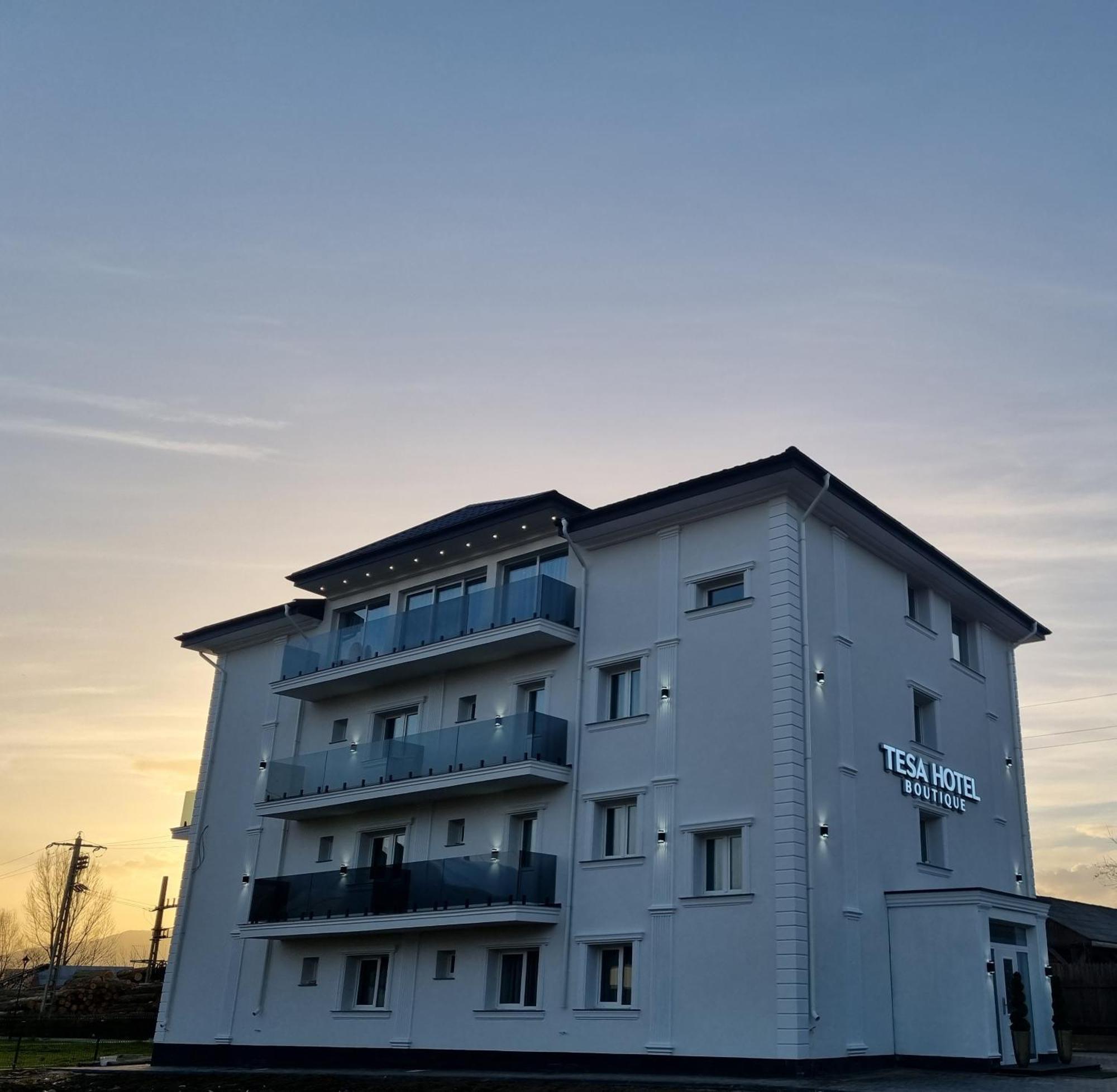 Tesa Boutique Hotel 티르구 네암트 외부 사진