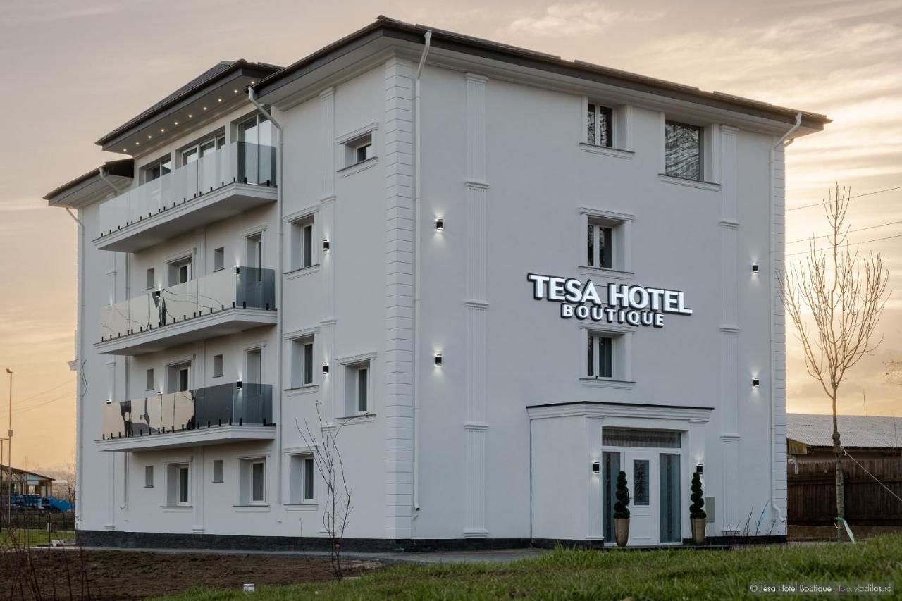 Tesa Boutique Hotel 티르구 네암트 외부 사진